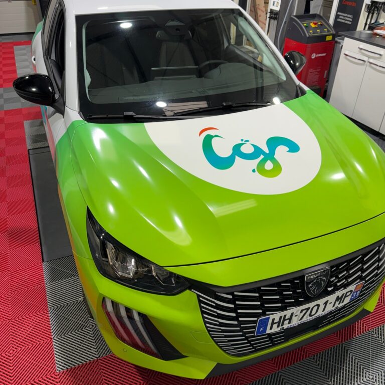 Peugeot 208 pour la Communauté de communes Cagire Garonne Salat ✨🚗